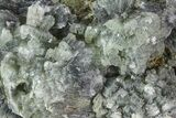 Green Prehnite Crystal Cluster - Morocco #80681-1